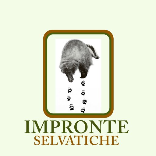 Impronte selvatiche